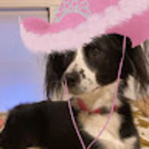 Meet your Posher, Avery